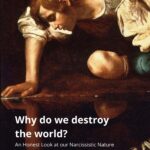 Cover Why we destroy the world?